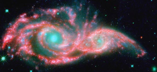 About femininity, and masculinity